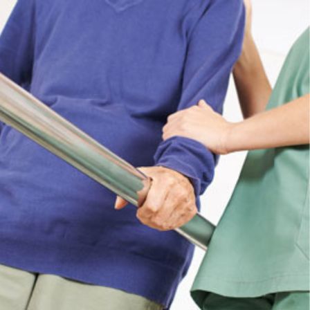 physiotherapy - day hospitals