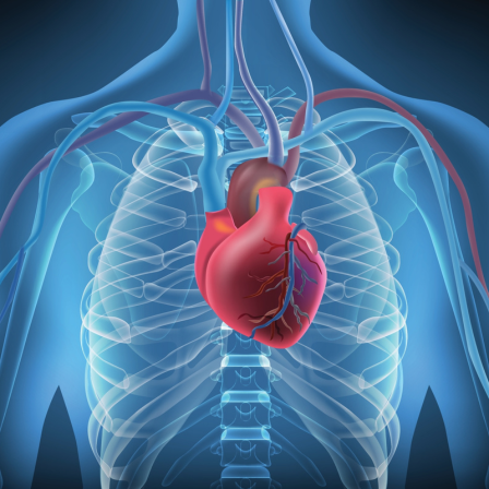 cancer e cardiotoxicity