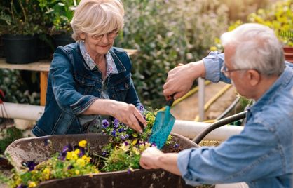 A married couple gardening together.