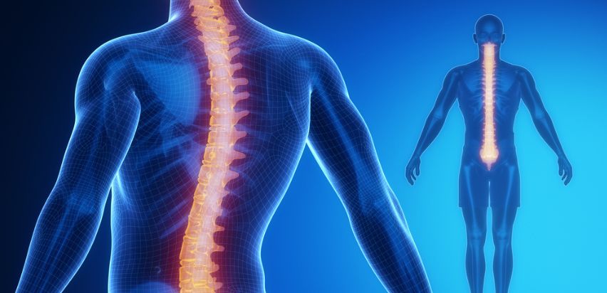 Herniated Disc: Symptoms, Causes, Diagnosis & Treatments - Mater Private  Network